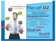 Visulaid-J_page-0012