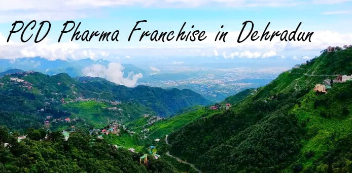 pharma franchise company